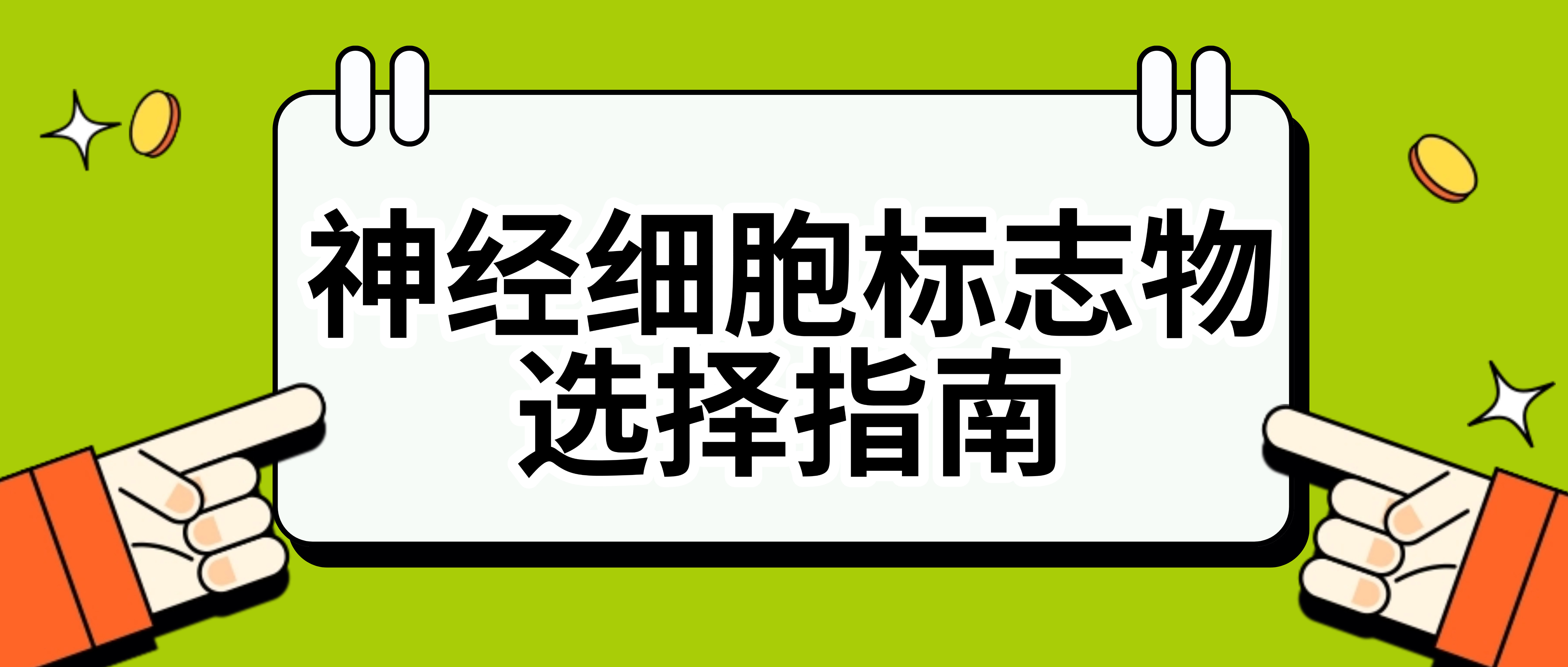 修饰抗体