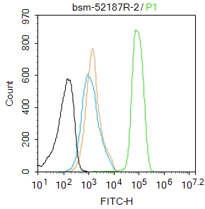 磷酸化蛋白激酶C α/β2重组兔单抗-bsm-52187R