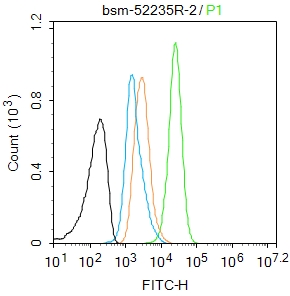信号转导和转录激活因子3重组兔单抗-bsm-52235R