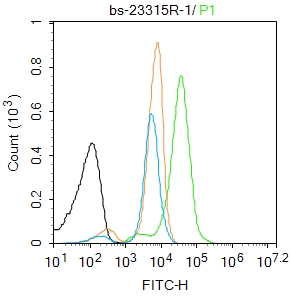 髓样细胞白血病-1抗体-bs-23315R
