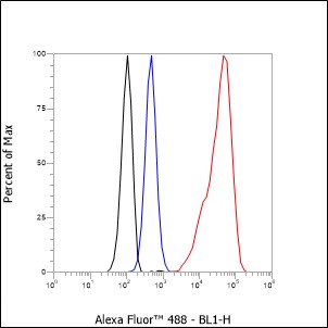 泛肌动蛋白重组兔单抗-bsm-60349R