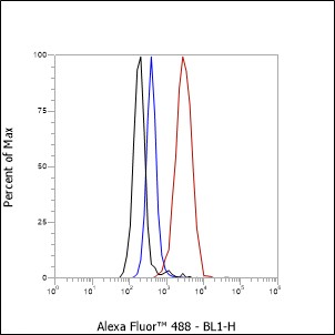 CD13重组兔单抗-bsm-60371R
