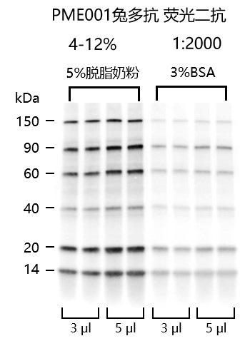 非预染可曝光蛋白Marker-PME001