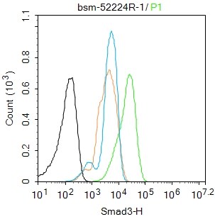 细胞信号转导分子SMAD3重组兔单抗-bsm-52224R