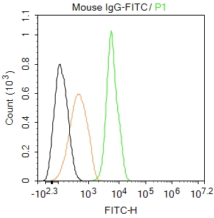 FITC标记小鼠IgG（同型对照)-bs-0296P-FITC