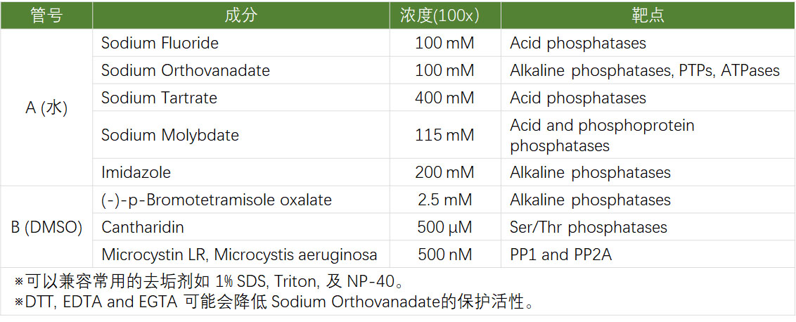磷酸酶抑制剂混合物组合 (2 Tubes, 100×)-C51003