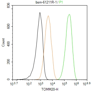 线粒体外膜受体Tom20重组兔单抗-bsm-61211R