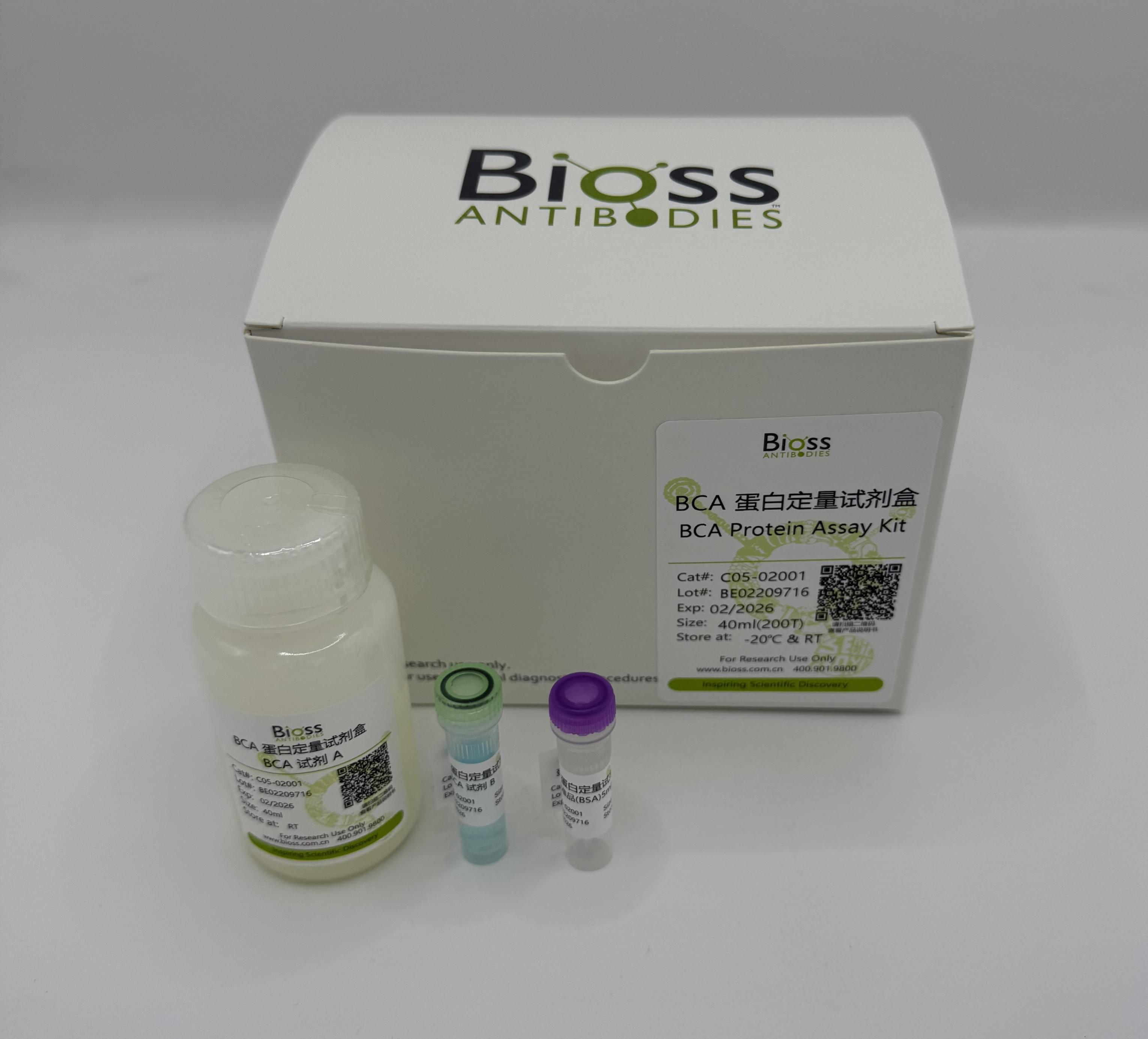 BCA蛋白定量试剂盒-C05-02001