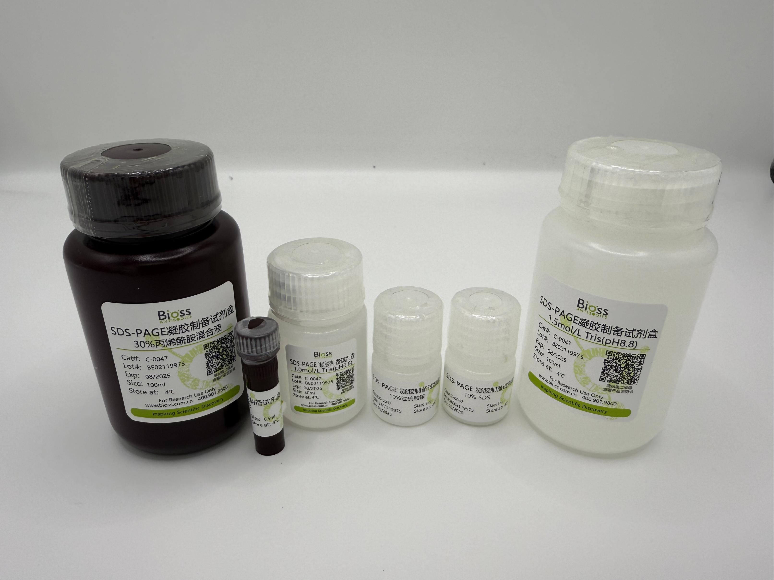 SDS-PAGE凝胶制备试剂盒-C-0047