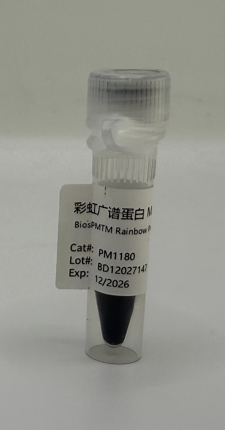 BiosPM™ 彩虹广谱蛋白Marker（10-180KD）-PM1180