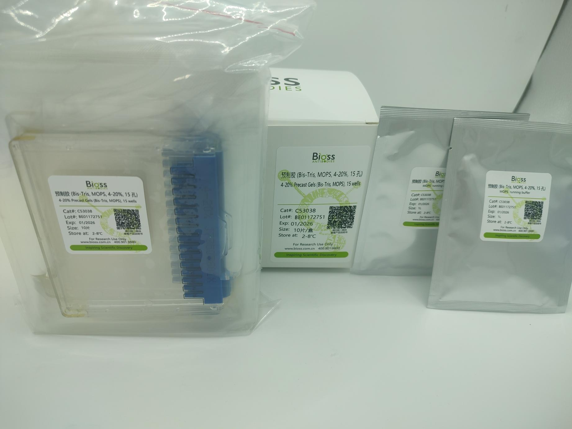 预制胶 (Bis-Tris, MOPS, 4-20%, 15孔)-C53038
