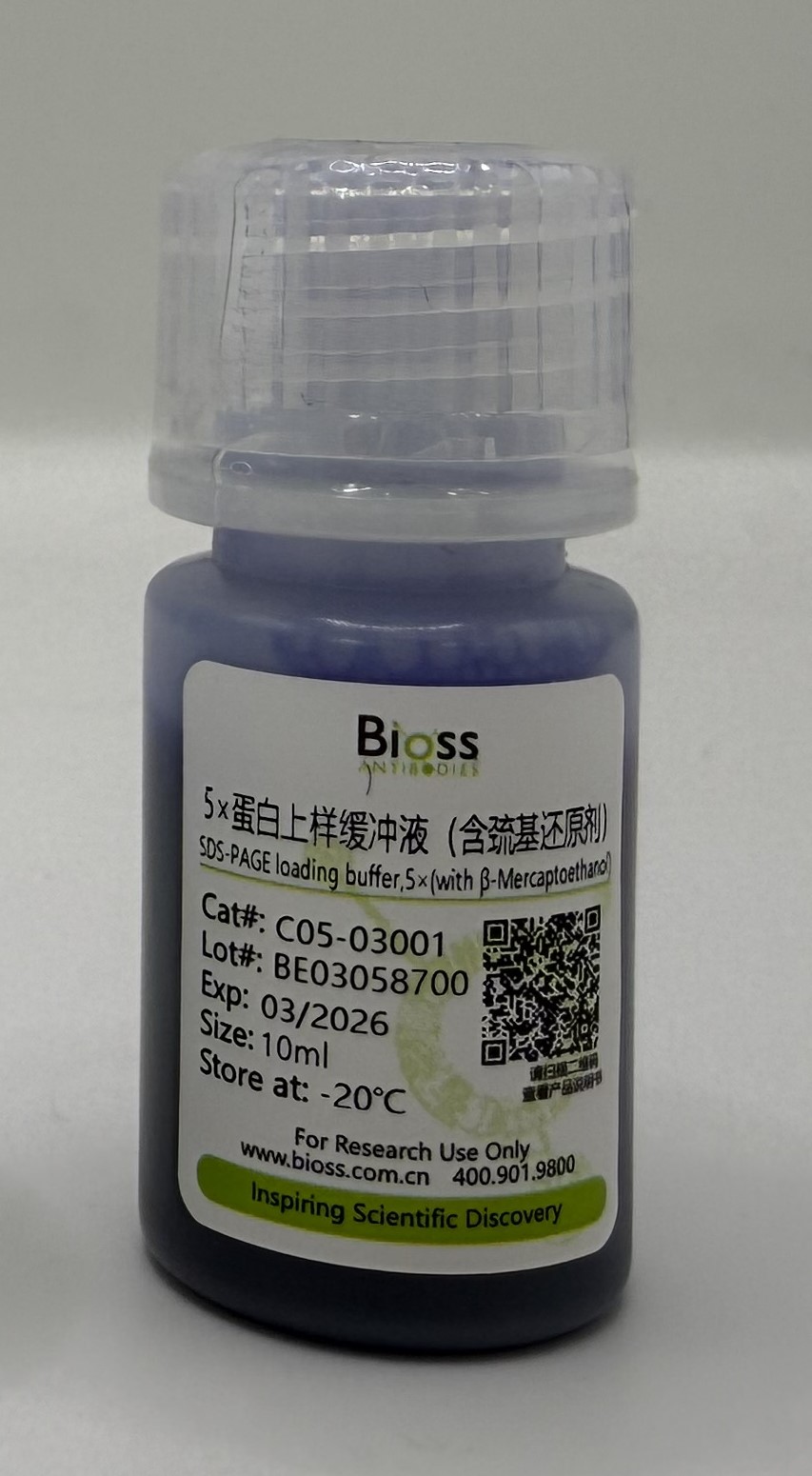 5×蛋白上样缓冲液（含巯基还原剂）-C05-03001