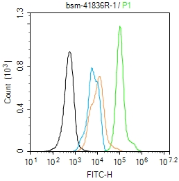 低分子量神经丝蛋白重组兔单抗-bsm-41836R