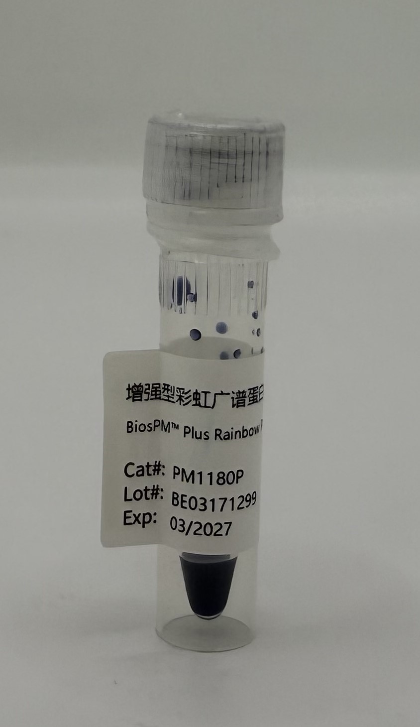 增强型彩虹广谱蛋白Marker(10-180KD)-PM1180P