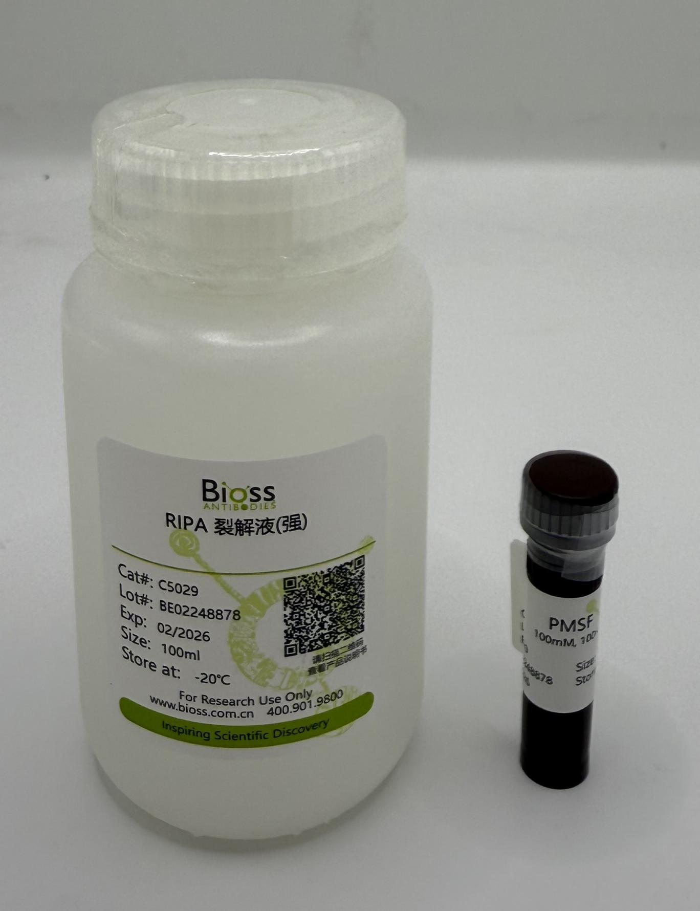 RIPA裂解液（强）-C5029