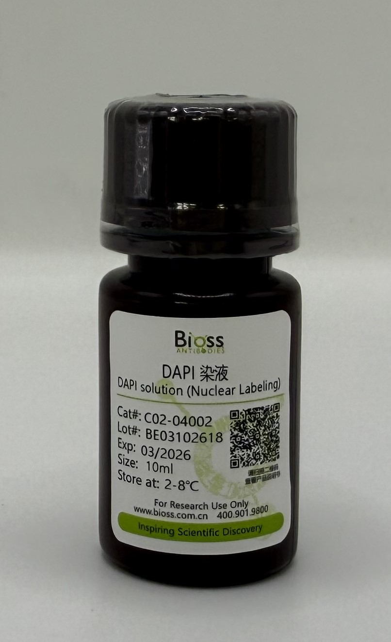 DAPI染色液(即用型)-C02-04002