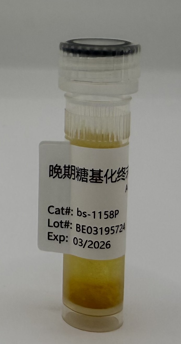 晚期糖基化终末产物AGEs蛋白-bs-1158P