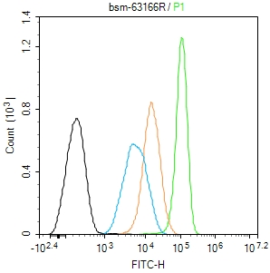 信号转导与转录激活因子1重组兔单抗-bsm-63166R