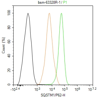泛素结合蛋白P62重组兔单抗-bsm-63328R