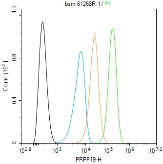 PRPF19重组兔单抗-bsm-61268R