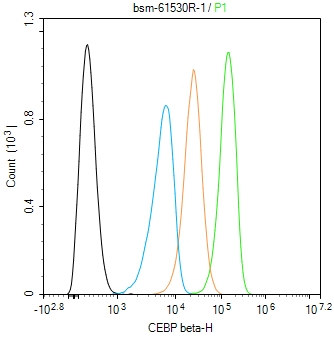 转录调节因子CEBP β重组兔单抗-bsm-61530R