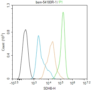 铬细胞瘤患者抑癌基因SDHB重组兔单抗-bsm-54180R