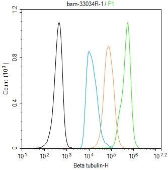 微管蛋白β tubulin/Tubulin β（内参）重组兔单抗-bsm-33034R