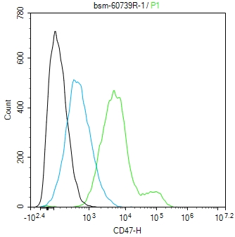 整合素相关蛋白CD47重组兔单抗-bsm-60739R