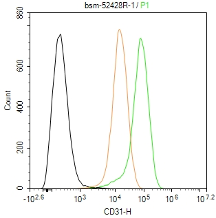 血小板内皮细胞黏附分子-1重组兔单抗-bsm-52428R