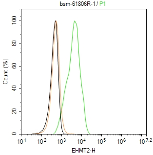 EHMT2重组兔单抗-bsm-61806R