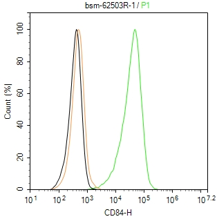 CD84重组兔单抗-bsm-62503R