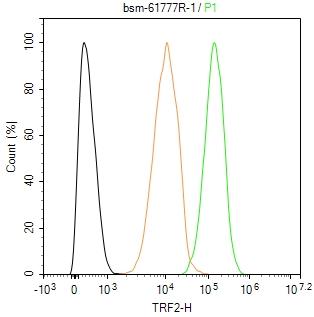 端粒结合蛋白2重组兔单抗-bsm-61777R