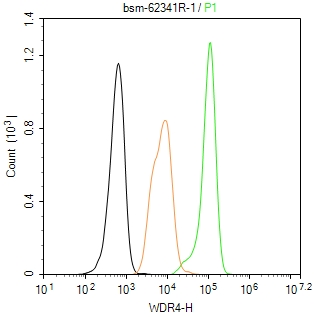 WDR4重组兔单抗-bsm-62341R