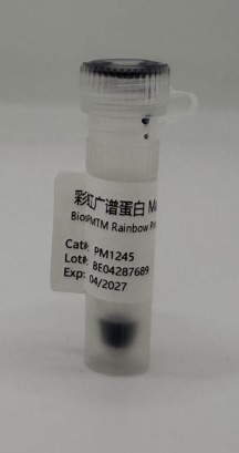 BiosPM™彩虹广谱蛋白Marker（10-245KD）-PM1245