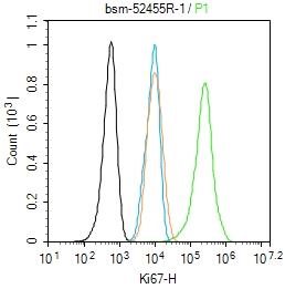 Ki67重组兔单抗-bsm-52455R