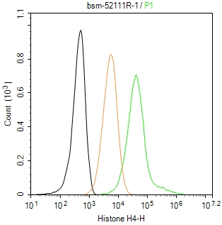 组蛋白H4重组兔单抗-bsm-52111R