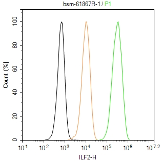 白细胞介素增强子结合因子2重组兔单抗-bsm-61867R