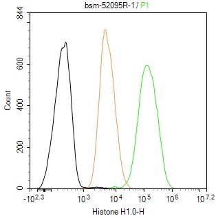 组蛋白H1.0重组兔单抗-bsm-52095R
