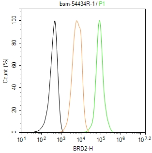 BRD2蛋白重组兔单抗-bsm-54434R