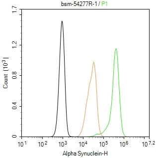 核突触蛋白-α重组兔单抗-bsm-54277R