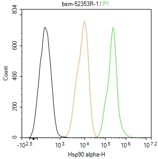 热休克蛋白90α重组兔单抗-bsm-52353R