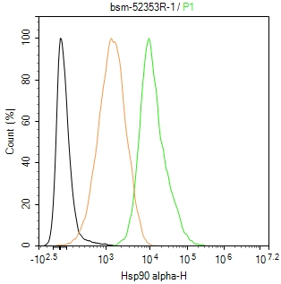 热休克蛋白90α重组兔单抗-bsm-52353R