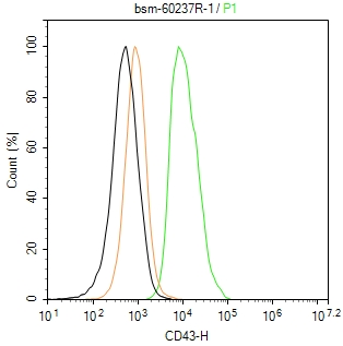 CD43重组兔单抗-bsm-60237R