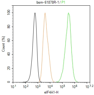 eIF4A1蛋白重组兔单抗-bsm-61878R