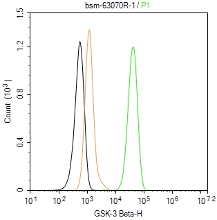 糖原合酶激酶-3β重组兔单抗-bsm-63070R