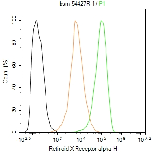 核受体RXRα重组兔单抗-bsm-54427R