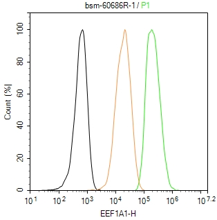 翻译延伸因子EF-1a重组兔单抗-bsm-60686R