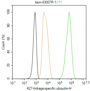 泛素蛋白（K27-linkage specific）重组兔单抗-bsm-63007R