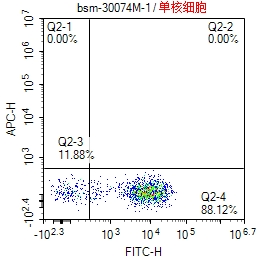 小鼠抗人CD14单克隆抗体-bsm-30074M