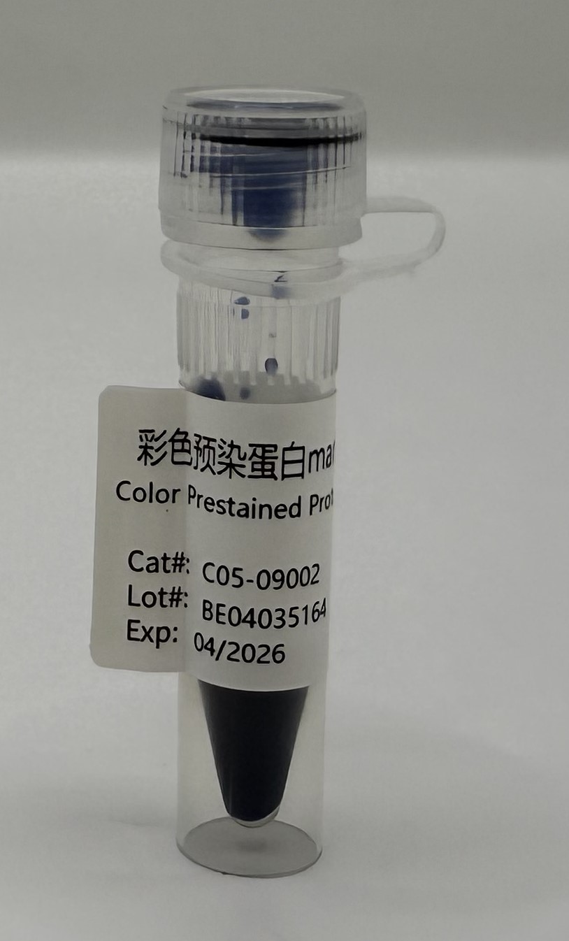 彩色预染蛋白marker（10-180kDa）-C05-09002